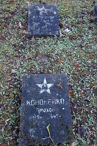 Sowjetischer Ehrenfriedhof, aufgenommen im M&auml;rz 2019