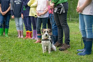 Gem&uuml;seackerdemie der Grundschule Niedergebra