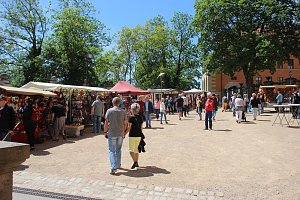 Musikalischer H&ouml;hepunkt am Nachmittag