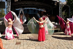 Sachsen-Anhalt-Tag in Quedlinburg