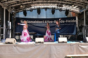 Sachsen-Anhalt-Tag in Quedlinburg