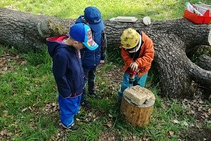Die Kinder des Waldkindergarten bauen ein Insektenhotel