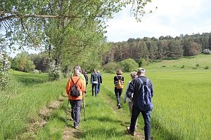 Durch frisches Grün im NSG Sattelköpfe