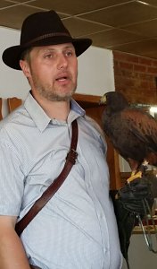 Luca Falke und W&uuml;sten-Bussard Uschi zu Besuch im WB 4