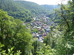 Schloss, Waffen, Haflinger, Reiterspiele, Stutenmilchlikör