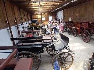 Schloss, Waffen, Haflinger, Reiterspiele, Stutenmilchlikör