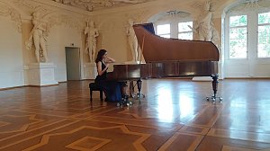 Rezital auf Liszt-Fl&uuml;gel