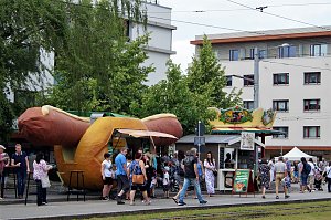 51. Rolandsfest 2019