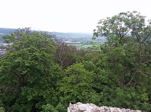 Ramelow: Th&uuml;ringer W&auml;lder in schwieriger Phase
