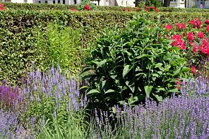 Farbenpracht und Schmetterlinge