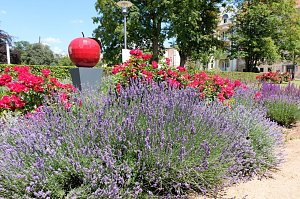 Farbenpracht und Schmetterlinge