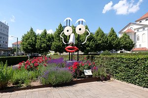 Farbenpracht und Schmetterlinge