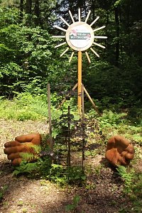 WB 4 Exkursion zur Mutterblutbuche