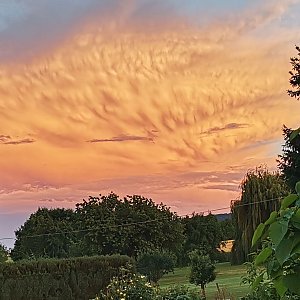 Wolkentiere