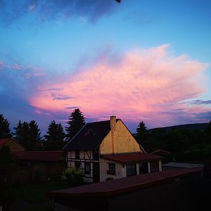Wolkentiere