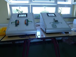 Schule trifft Wirtschaft