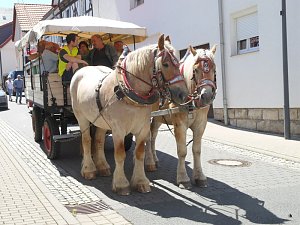 Festumzug in Bildern