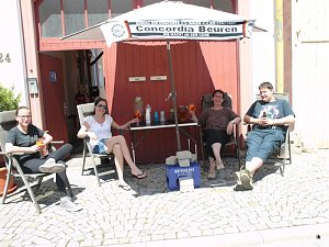 Festumzug in Bildern