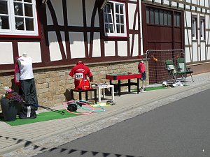 Festumzug in Bildern