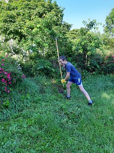 Neues  aus dem  Garten der Generationen