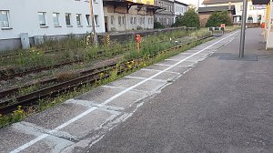 Beobachtungen am Gleis zwischen Ellrich und Nordhausen