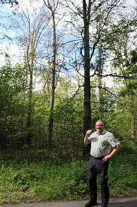 Sterben unsere Buchenw&auml;lder?