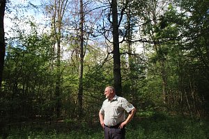 Sterben unsere Buchenw&auml;lder?