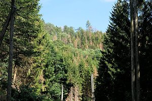 Peter Blei an der Neustädter Talsperre