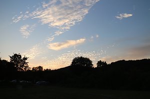 Fledermauswanderung an der Salzaquelle