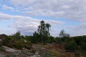 Unterwegs in Questenberg