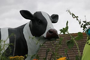 Großer Festumzug in Auleben