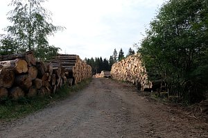 Peter Blei an der Hasselvorsperre