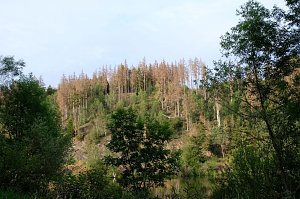 Peter Blei an der Hasselvorsperre