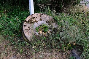 Peter Blei an der Hasselvorsperre