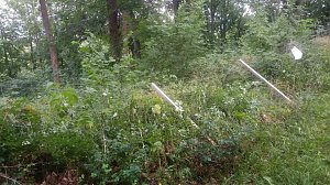Vandalismus im Park Hohenrode