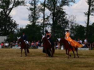Gro&szlig;es Ponyfest Gro&szlig;enehrich