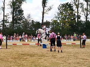 Gro&szlig;es Ponyfest Gro&szlig;enehrich
