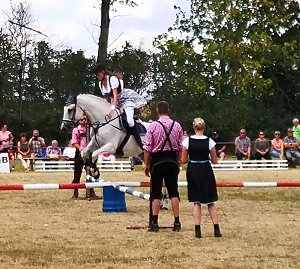 Gro&szlig;es Ponyfest Gro&szlig;enehrich