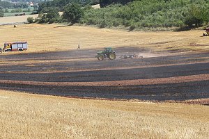 brand kehmstedt