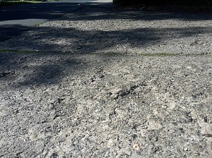 Nichts f&uuml;r Rollstuhlfahrer