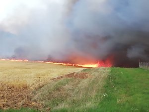 Brand zwischen Werna und Ellrich
