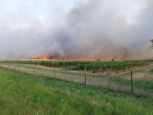 Brand zwischen Werna und Ellrich