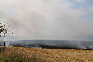 Gro&szlig;brand zwischen Ellrich und Werna