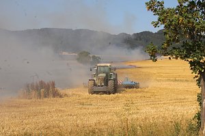 Gro&szlig;brand zwischen Ellrich und Werna