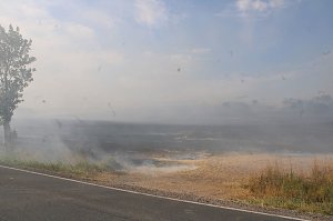 Gro&szlig;brand zwischen Ellrich und Werna
