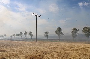Gro&szlig;brand zwischen Ellrich und Werna
