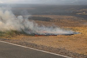 Gro&szlig;brand zwischen Ellrich und Werna