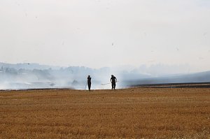 Gro&szlig;brand zwischen Ellrich und Werna