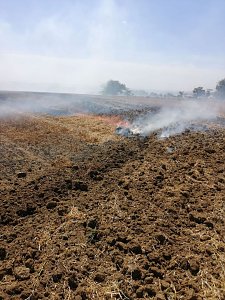 Fl&auml;chenbrand