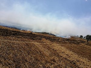 Fl&auml;chenbrand